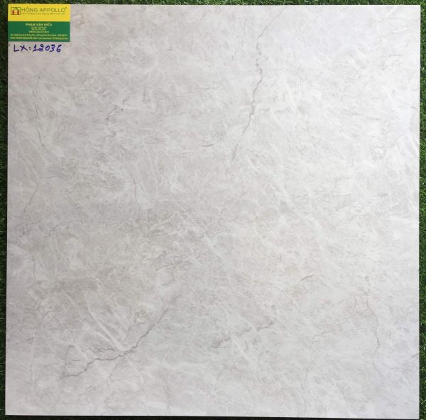 Gạch 60x60 bóng kiếng toàn phần 12036LX 2563
