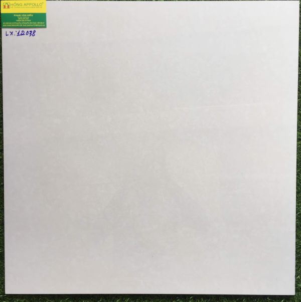 Gạch 60x60 bóng kiếng toàn phần 12038LX 2564