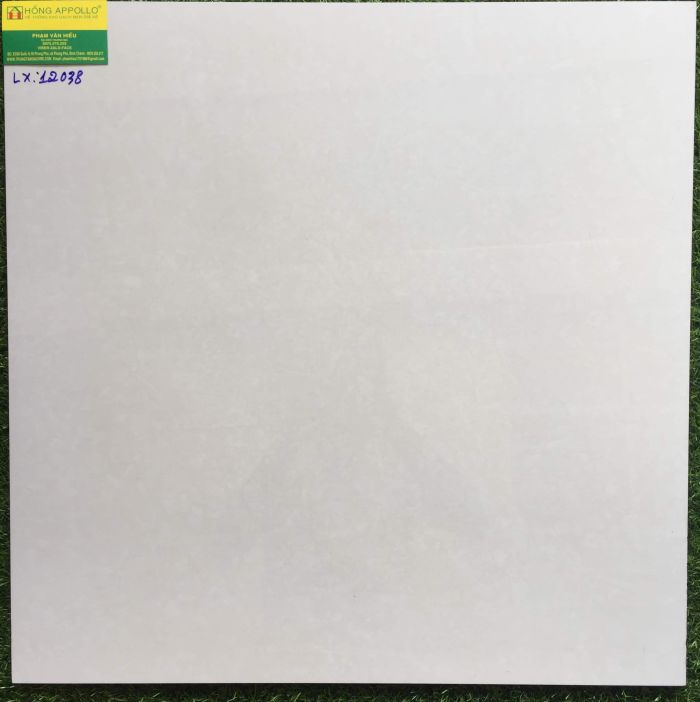 Gạch 60x60 bóng kiếng toàn phần 12038LX 2564
