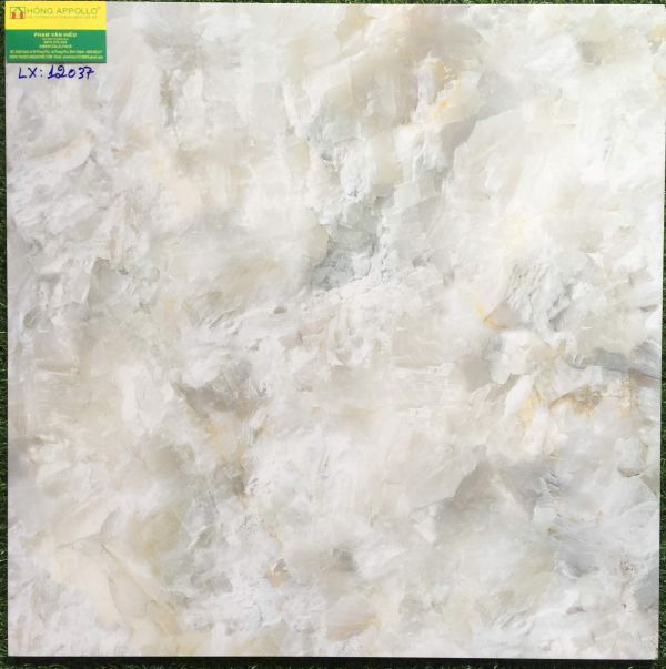 Gạch 60x60 bóng kiếng toàn phần 12037LX 2565