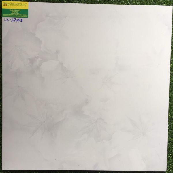Gạch 60x60 bóng kiếng toàn phần 12039LX 2566
