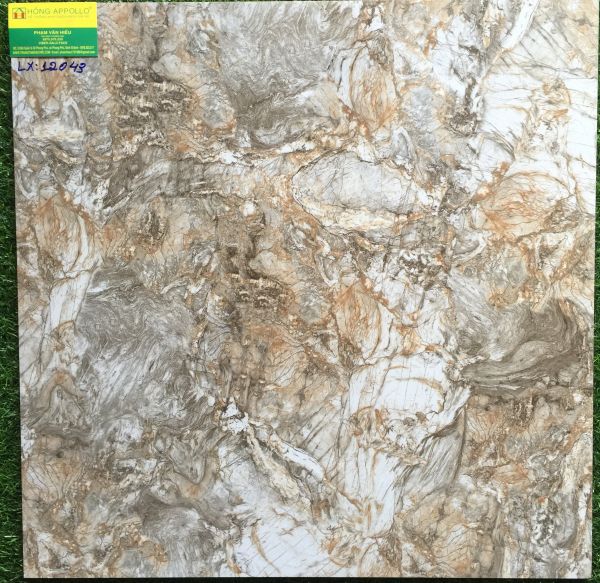 Gạch 60x60 prime bóng kiếng toàn phần 12043LX 2567