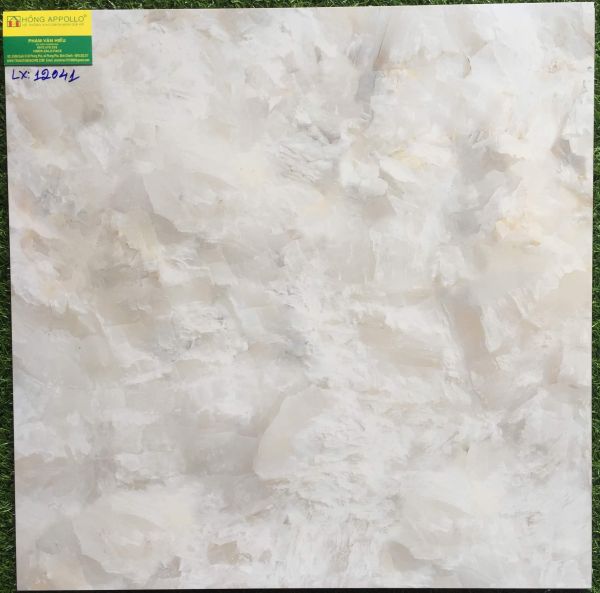 Gạch 60x60 lát nền bóng kiếng toàn phần 12041LX 2570