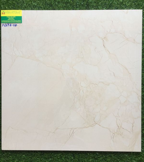 Gạch bóng kiếng 60x60 CMC 6672LX 2571