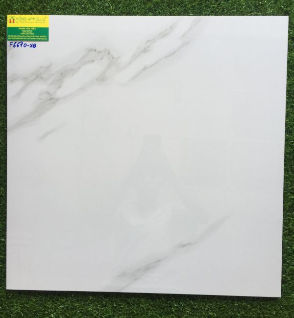  Gạch 60x60 bóng kiếng CMC 6670LX 2573