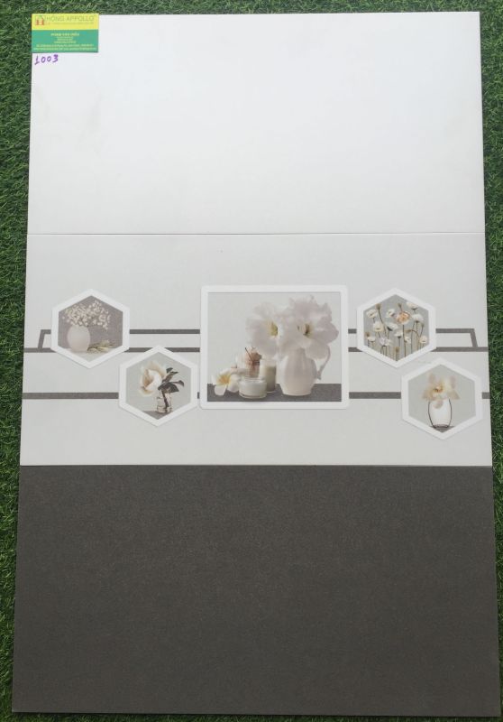 Gạch ốp tường A MY 30x60 men mát 1003TC 2582