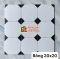 Gạch bông lát nền hoa văn bát giác 20x20 cm