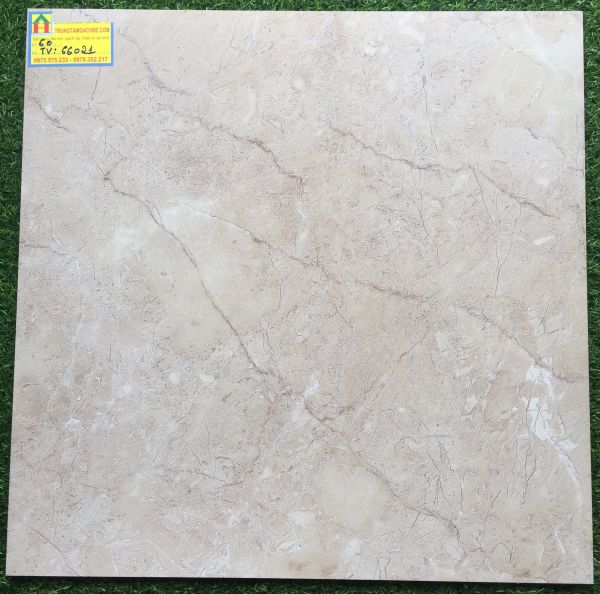 Gạch lát nền 60x60 bóng kiếng 66021TV 2480