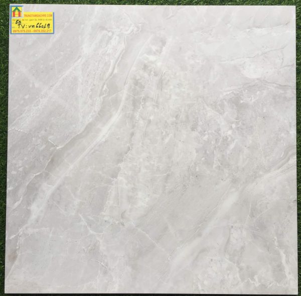 Gạch lát nền 60x60 bóng kiếng 66019TV 2484