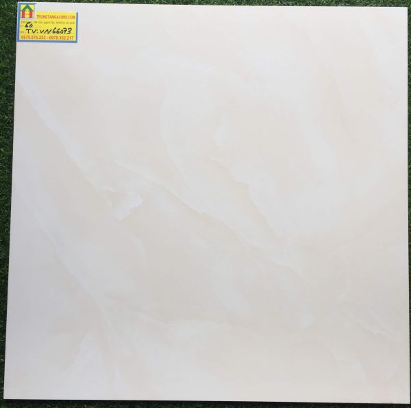 Gạch lát nền 60x60 bóng kiếng 66073TV 2485