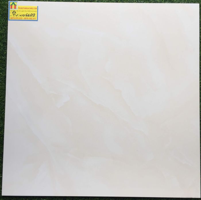 Gạch lát nền 60x60 bóng kiếng 66073TV 2485