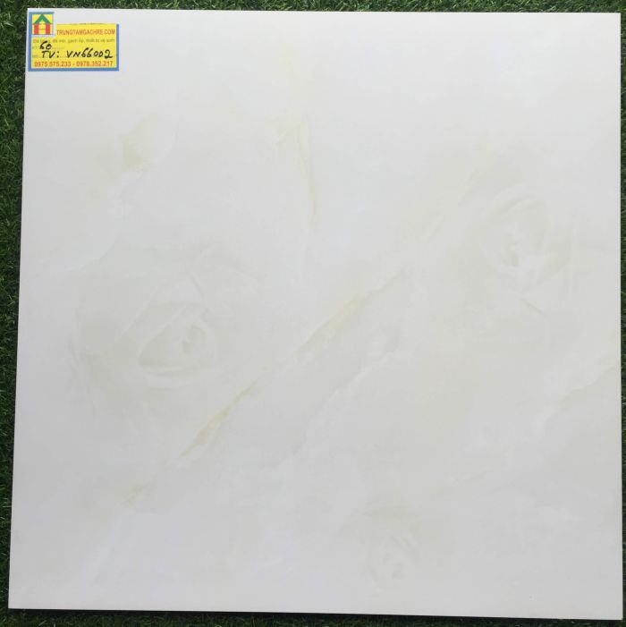 Gạch lát nền 60x60 bóng kiếng 66002TV 2487