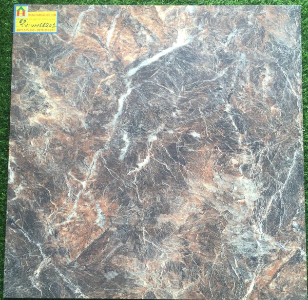 Gạch lát nền 60x60 bóng kiếng 66201TV 2488