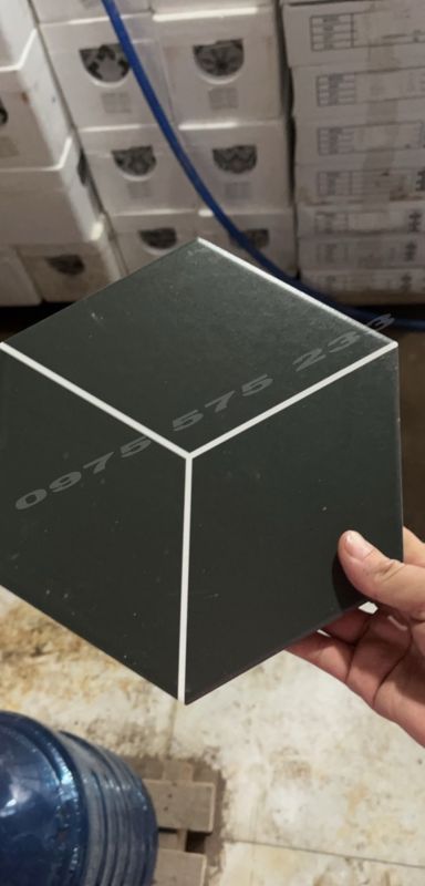 Gạch lục giác 20x23 màu đen vân trắng đẹp 