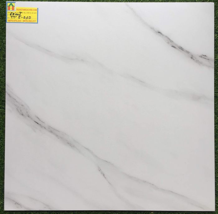 Gạch lát nền 60x60 ấn độ cao cấp E010 2495
