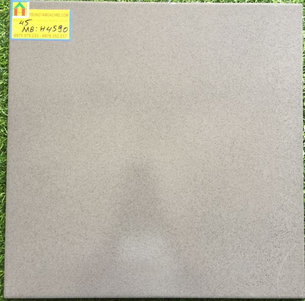 Gạch bạch mã granite 45x45 đá mờ H4590MB