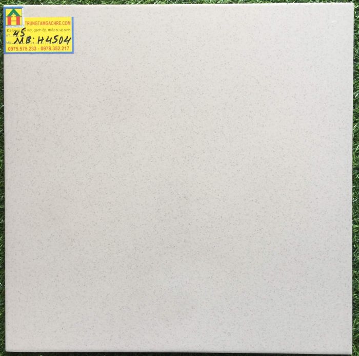 Gạch bạch mã granite 45x45 đá mờ H4504MB