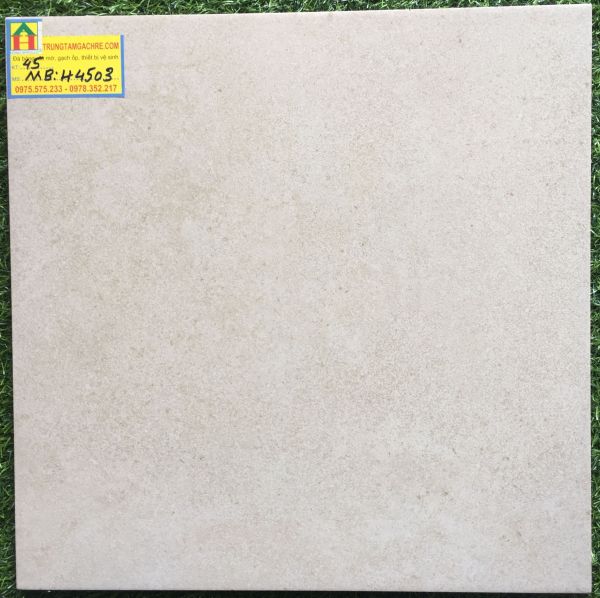 Gạch bạch mã granite 45x45 đá mờ H4503MB