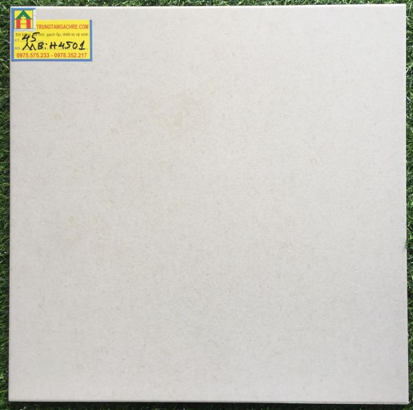 Đá granite 45x45 đá mờ bạch mã H4501MB