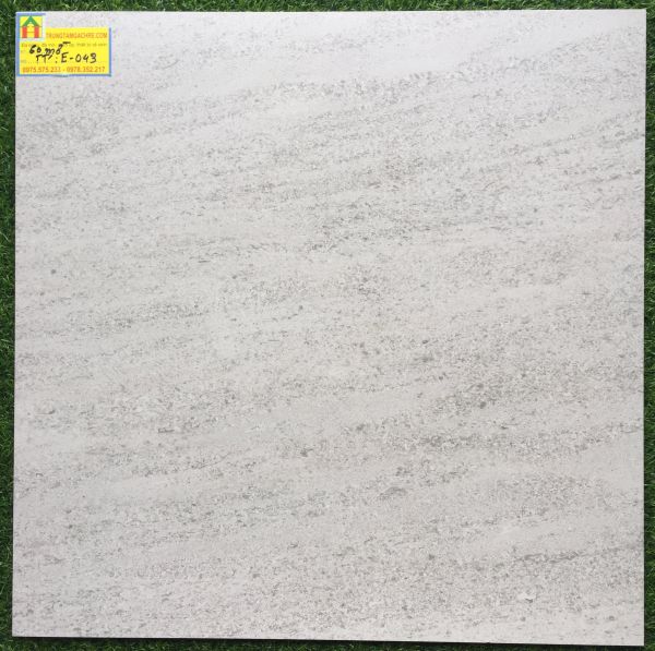 Gạch granite ấn độ 60x60 cao cấp E043 2496
