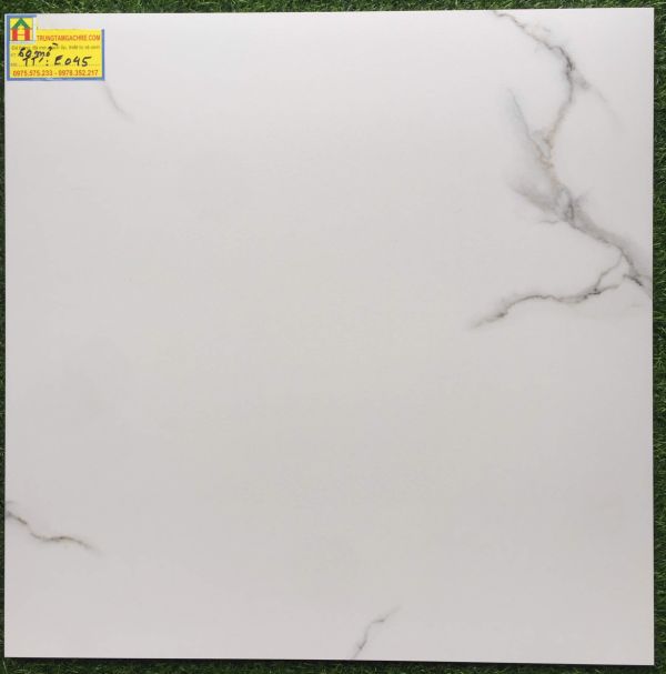 Gạch lát nền ấn độ 60x60 đá mờ E045 2498