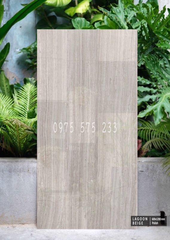 Gạch ấn độ 60x120 bóng giả gỗ khổ to bóng kính