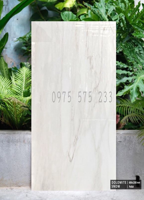 Gạch chất lượng 60x120 bóng kính ấn độ lát nền ốp tường Gạch chất lượng 60x120 bóng kính ấn độ lát nền ốp tường