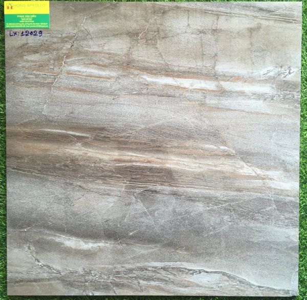 Gạch 60x60 bóng kiếng toàn phần 12029LX 2562