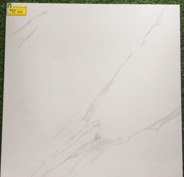Gạch đá mờ lát nền 80x80 á mỹ 890 2328