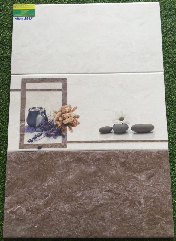 Gạch ốp tường 30x60 men bóng catalan giá rẻ 3023
