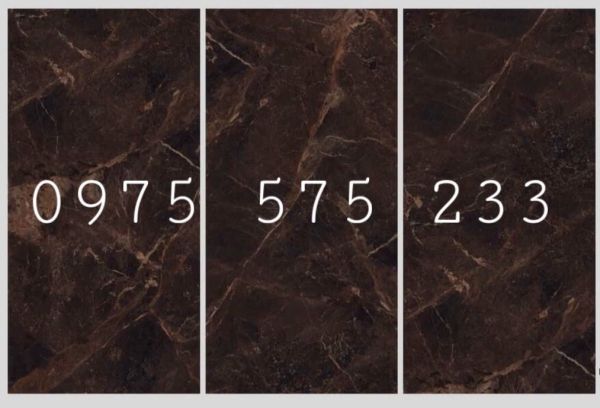 Gạch cao cấp 120x240 ấn độ bóng kiếng vân nâu tại bình chánh