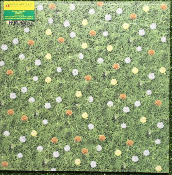 Gạch 50x50 sân vườn đẹp 5105HK