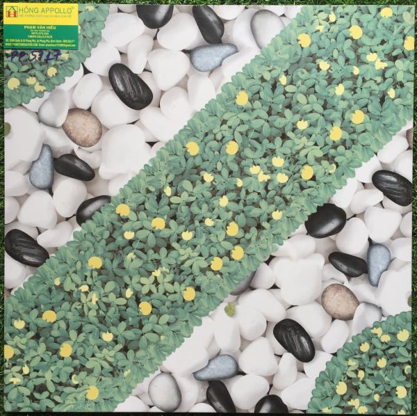 Gạch 50x50 sân vườn đẹp 5717PP