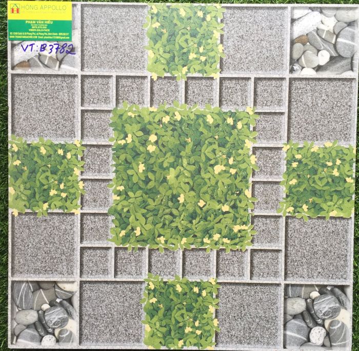 Gạch vitto 50x50 sân vườn đẹp 3782