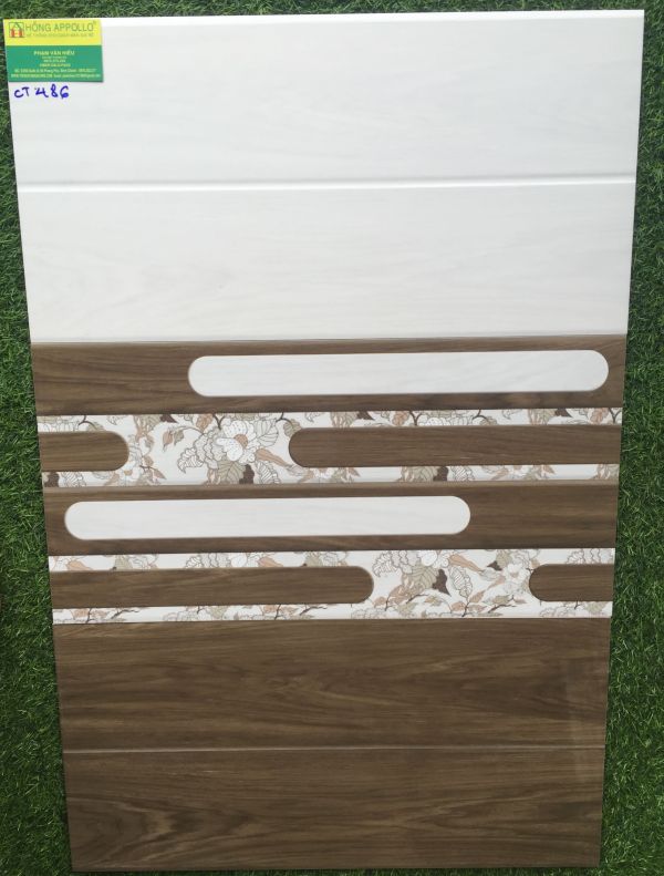 Gạch ốp tường phòng khách 30x60 A MY486TC 2578