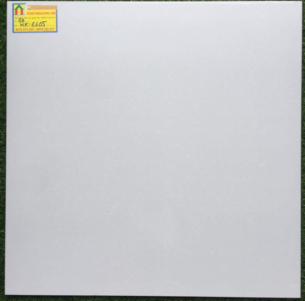 Gạch lát nền 60x60 bóng kiếng 6105HK 2412