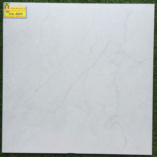 Gạch bóng kiếng 60x60 VIGLACERA 6660 HK 2414