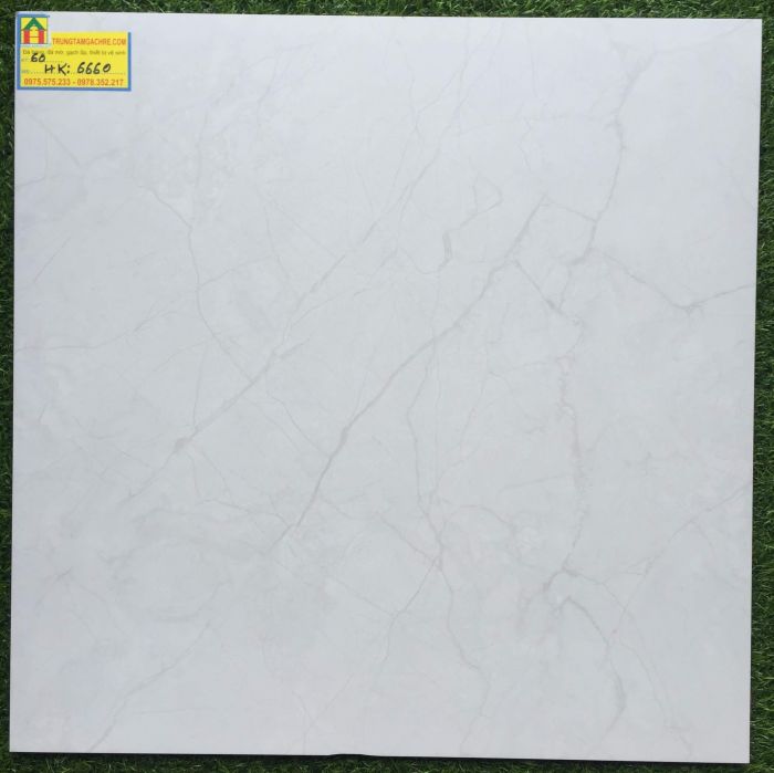 Gạch bóng kiếng 60x60 VIGLACERA 6660 HK 2414