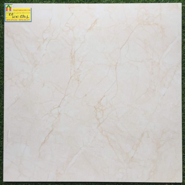 Gạch 60x60 bóng kiếng toàn phần 6801HK 2416