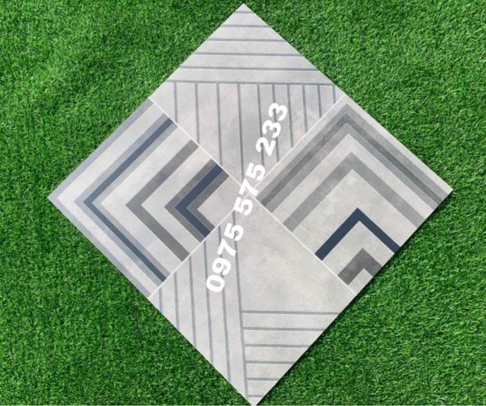Gạch hoa văn đá mờ ấn độ 60x60 lát nền 3826