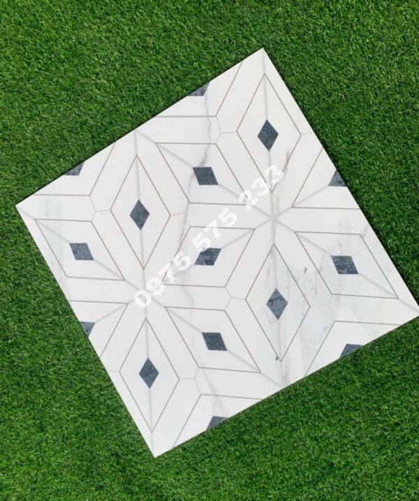 Gạch đá mờ đẹp 60x60 ấn độ lát nền sang trọng 3827