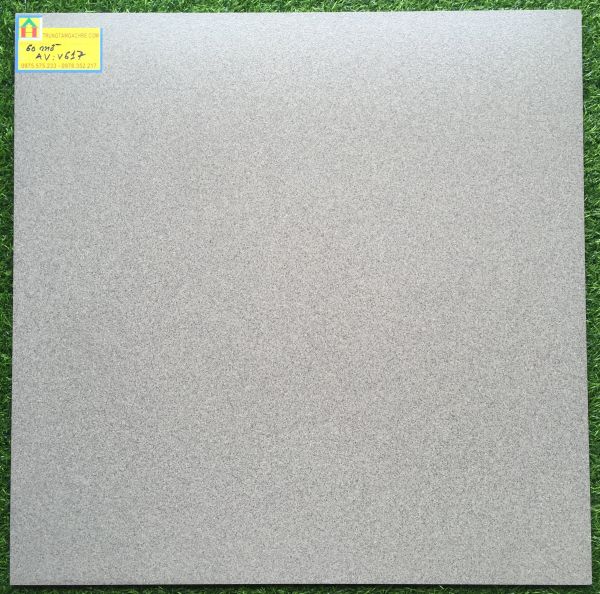 Gạch granite mờ 60x60 cao cấp 6617AV 2430