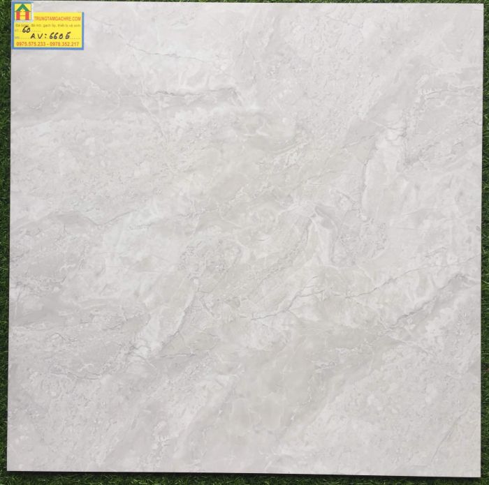 Đá bóng kiếng toàn phần 60x60 cao cấp 6606AV 2433