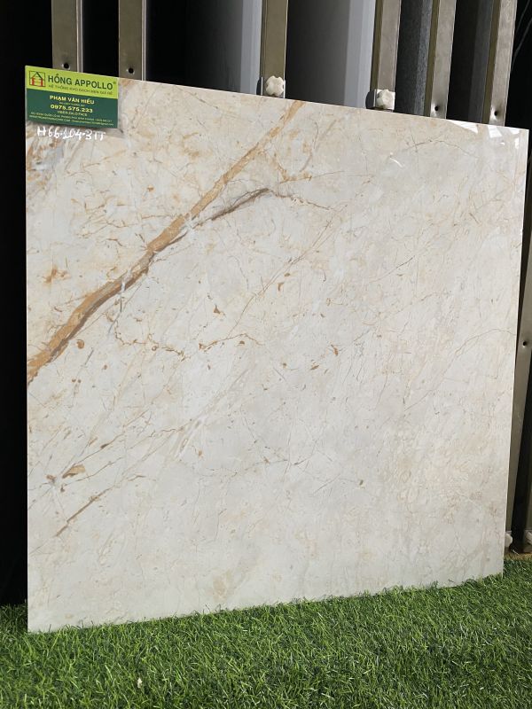 Gạch nhập khẩu 60x60 bóng kiếng ấn độ 3787