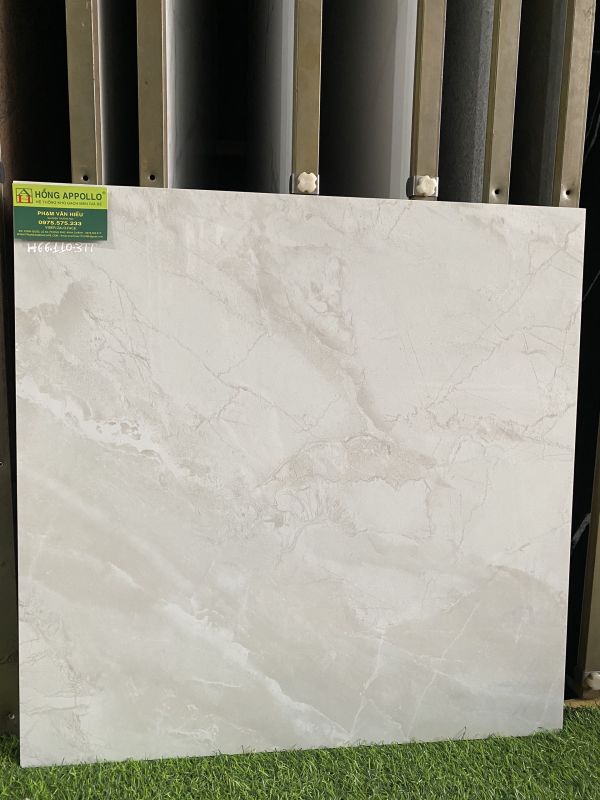 Gạch lát nền 60x60 ấn độ giá rẻ tại an giang 3791