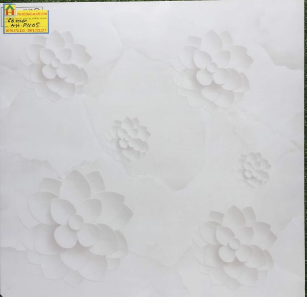 Gạch lát nền ceramic 60x60 PN05 2438