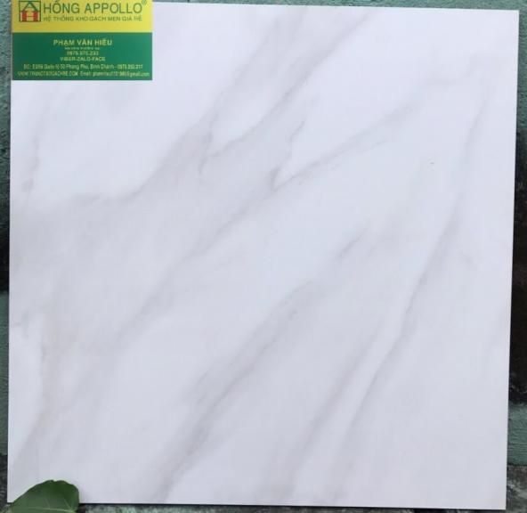 Gạch granite đá mờ giá rẻ 60x60 , 01