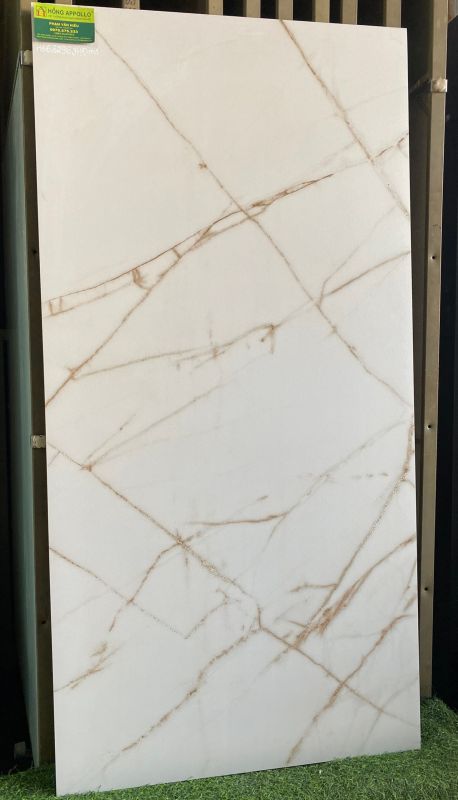 Gạch ốp lát nhập khẩu 60x120 mờ trắng vân vàng đẹp