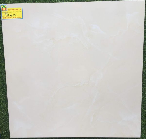 Gạch lát nền CMC 60x60 đá bóng kiếng TP giá rẻ HCM 2750