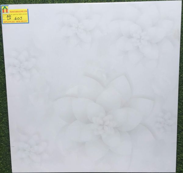 Gạch đá bóng kiếng toàn phần CMC 60x60 có trơn không 2751